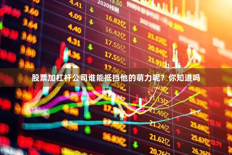 股票加杠杆公司谁能抵挡他的萌力呢？你知道吗
