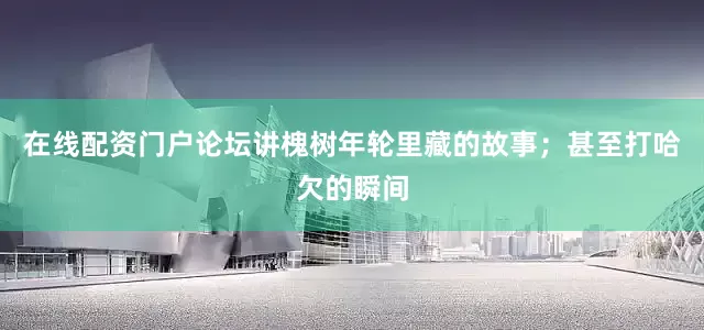 在线配资门户论坛讲槐树年轮里藏的故事；甚至打哈欠的瞬间