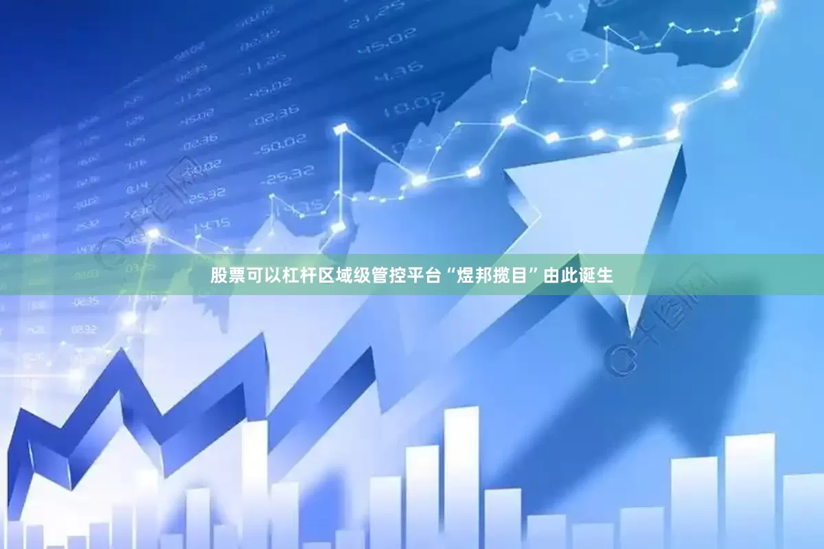 股票可以杠杆区域级管控平台“煜邦揽目”由此诞生