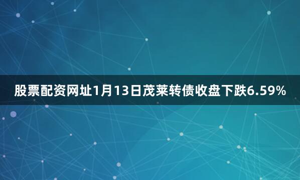 股票配资网址1月13日茂莱转债收盘下跌6.59%