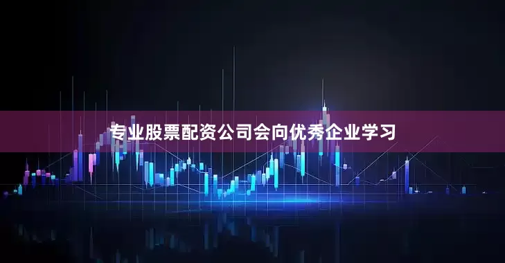 专业股票配资公司会向优秀企业学习