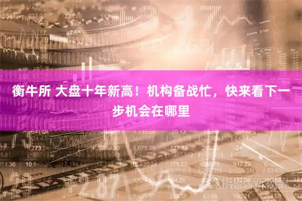 衡牛所 大盘十年新高！机构备战忙，快来看下一步机会在哪里