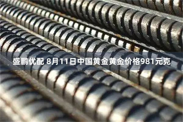盛鹏优配 8月11日中国黄金黄金价格981元克