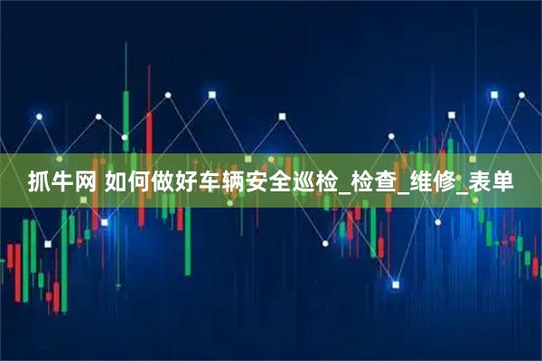 抓牛网 如何做好车辆安全巡检_检查_维修_表单