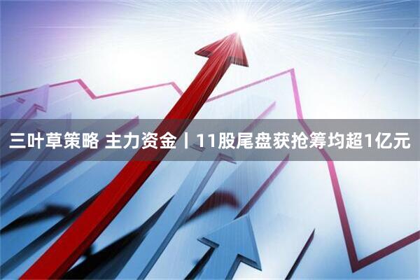 三叶草策略 主力资金丨11股尾盘获抢筹均超1亿元