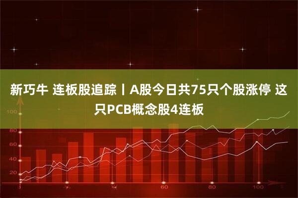 新巧牛 连板股追踪丨A股今日共75只个股涨停 这只PCB概念股4连板