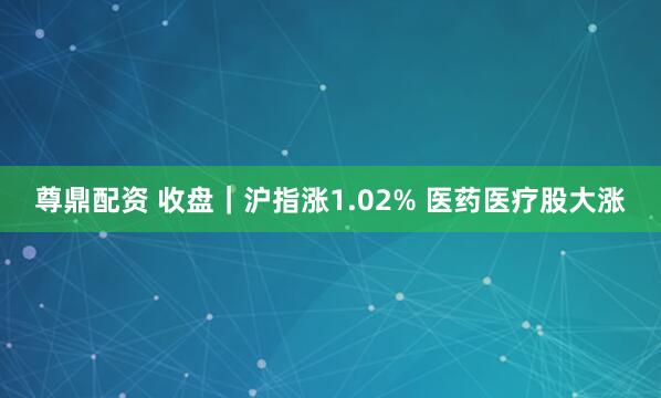 尊鼎配资 收盘｜沪指涨1.02% 医药医疗股大涨